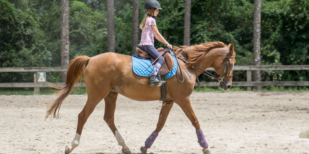 » The Riding Club